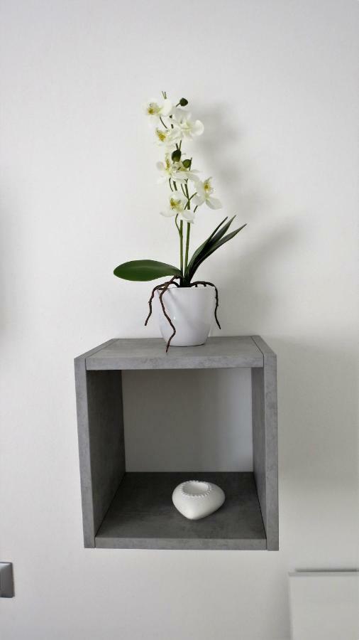 Feel At Home - Casa Alexandra Lovere Extérieur photo